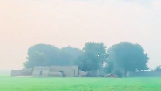 Beautiful environment