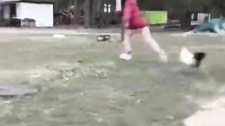 Incredibly hilarious animal moments 2. How to stop laughing