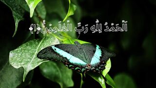Surah Al-Fatiha | سورة الفاتحة |