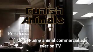 Funny vedio