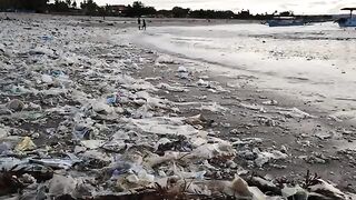 Can we Save our Oceans