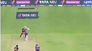 Wonderful cricket
