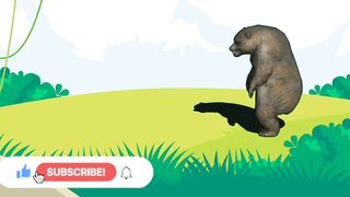 Bear growling in jungle