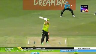 Cricket