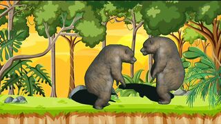 Bears fighting in jungle