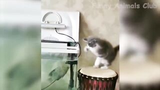 Funny Animal Videos 2022 ???? - Funniest Cats And Dogs Videos ???????? #21