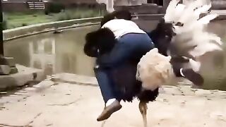 Funny  ????????????????