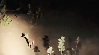 My Hunting