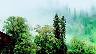 3000,status,status video,status song,status whatsap,beast song,good song,video,natural