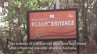 Child's remains found after crocodile attack.