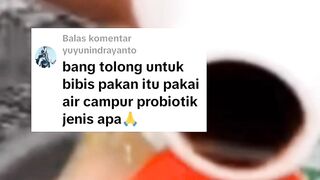 Bibis pakan dengan suplemen untuk pertumbuhan ikan lele
