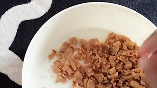 Usus ayam krispi
