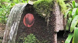 Madeira Botanical Garden | Free Stock Video