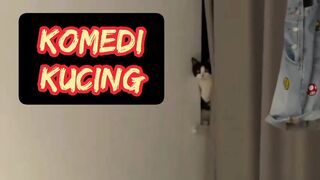 make cat dubbing videos laugh