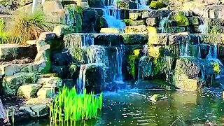 Natural water fall 3