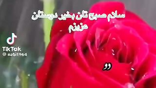 کوتاه