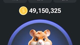 DAILY COMBO to get 5.000.000 Coin