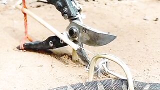 trying to catch a snake