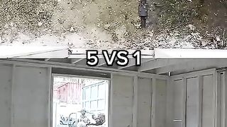 Door_Entry_CQB_Training_
