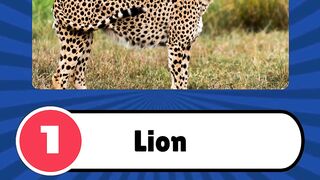 Can You Guess the Fastest Land Animal? ????‍♂️???? #QuizTime