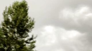 Выброс... нашел, нору контролера STALKER