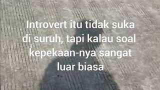 Quote from Introvert 3