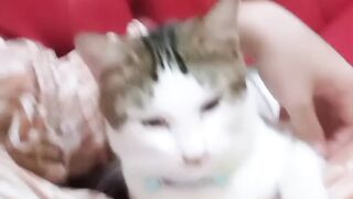 Nemo takit dimarahin