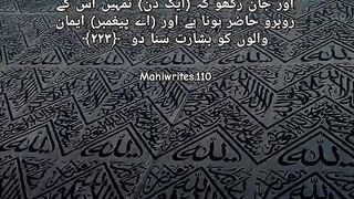 Surah Baqarah Ayat 223