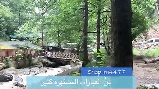 قصة#سكينة