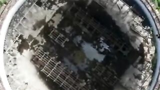ЖИВОТЪТ В ЗОНАТА НА ЧЕРНОБИЛСКАТА АЕС