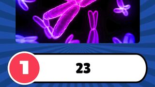 ???? How Many Chromosome Pairs Does the Human Body Have? | Fun Biology Quiz ????