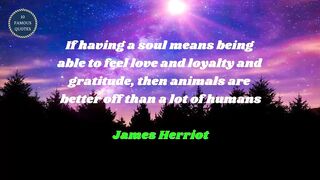 famous quotes about love | Part 406