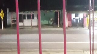 De boa vendo os trem passar