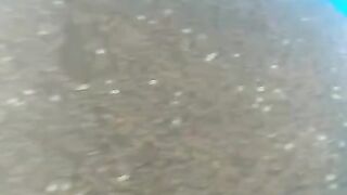 Setelah mijah SEMPURNA pagi ini kita angkat indukan dan sebar TELUR kekolam penetasan