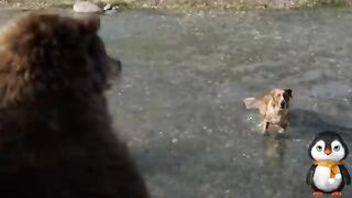 Abandoned Dog Becomes The Leader Of Wolf Pack, Avenging On People Who Harm Him