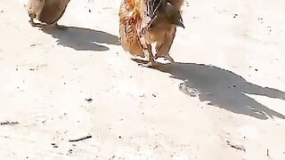 Jab garmi hoti hay