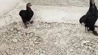 Apnay waldain ka khyal rako