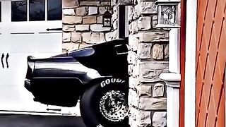 Mustang_Shelby_GT500__The_Ultimate_Muscle_Car(480p).