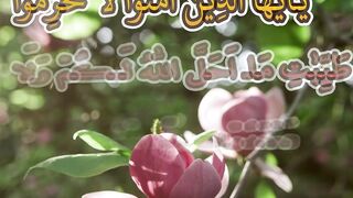 Ayat of the day #1