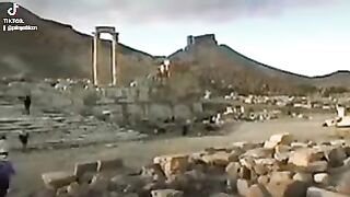 Palmyra 7