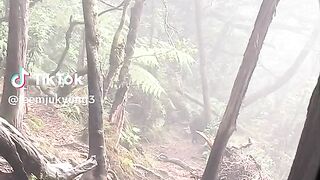 Hiking di gunung dikejar babi hutan