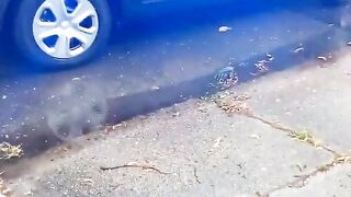 July 1, 2024- Police still power tripping