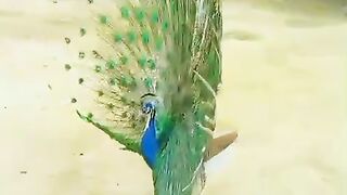 Acha lag raha hay
