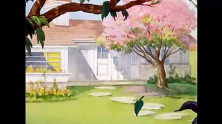 tom and jerry 22