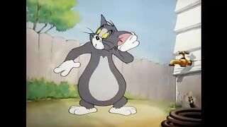 tom and jerry 24