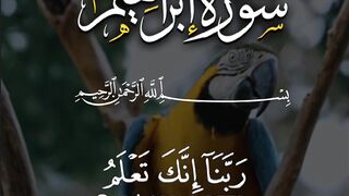 Quran Al Kareem #Quran #surah # 12