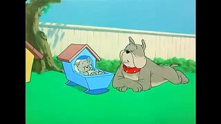 tom and jerry 26