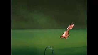 tom and jerry 28
