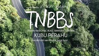 The beauty of the Bukit Barisan National Park Forest