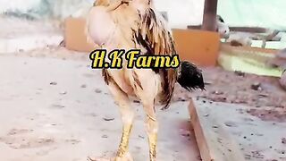 Helping people is great